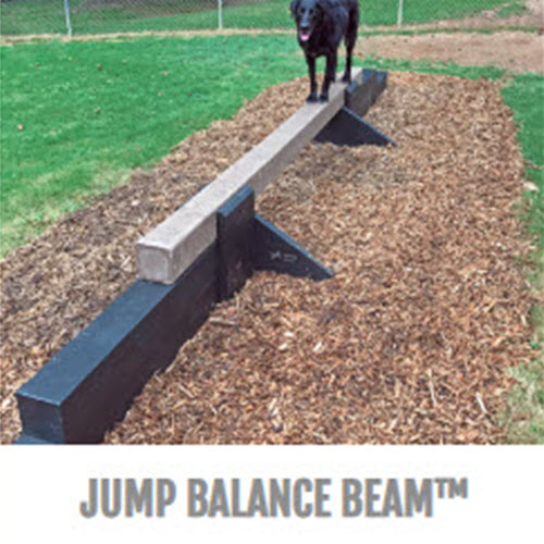 CAD Drawings BIM Models Gyms For Dogs™ Jump Balance Beam™